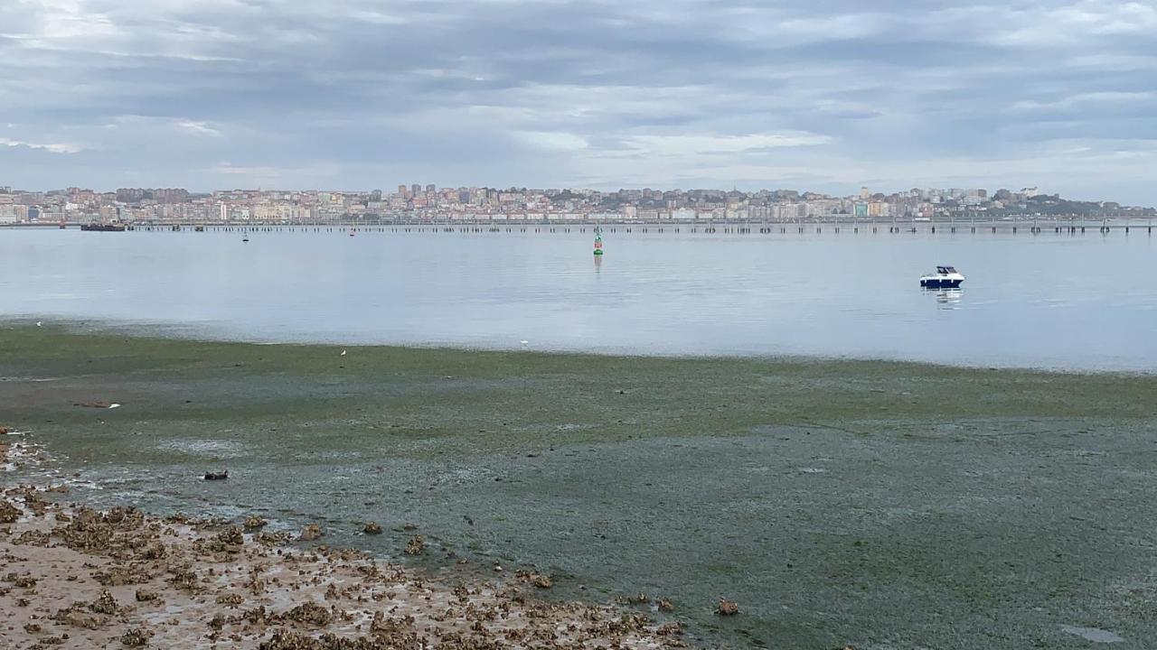 Puerto Deportivo Marina De * Santander